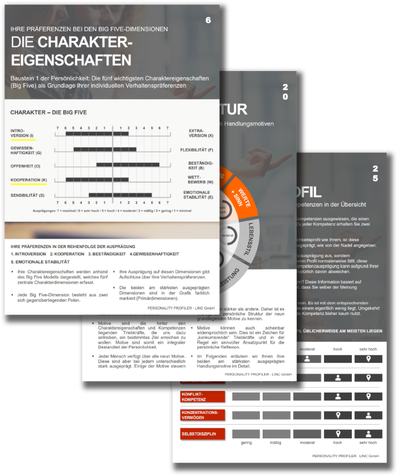 Auszug aus einem LINC Personality Profiler Report: Charaktereigenschaften, Motivstruktur und Kompetenzprofil